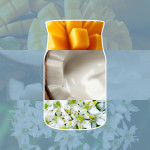 SALTED COCONUT